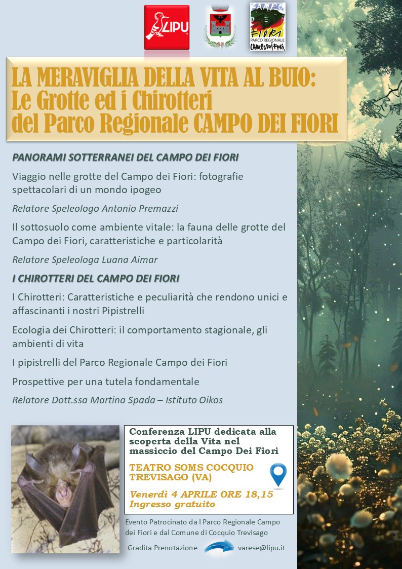 Locandina Progr DEF LA VITA AL BUIO LIPU JPG 44 2025