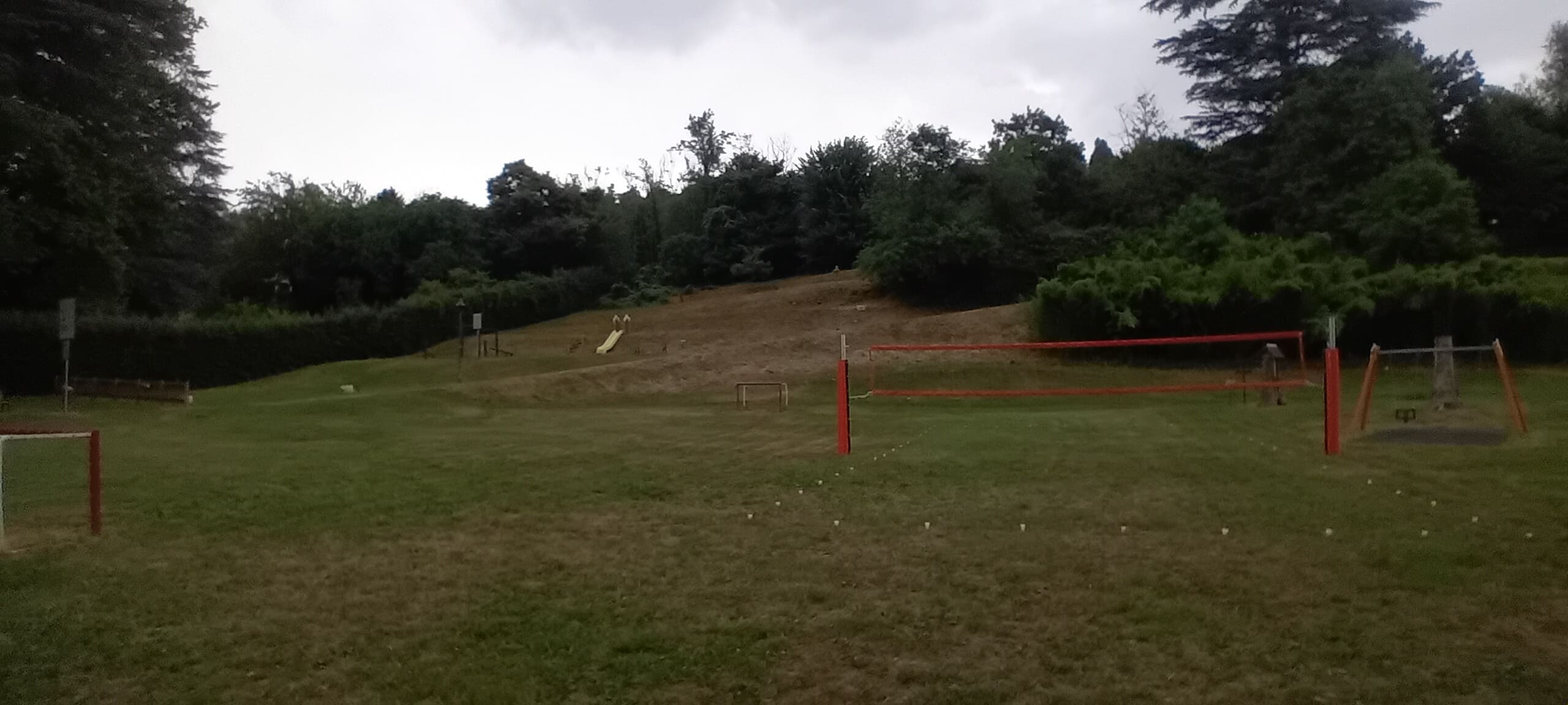 greenvolley1